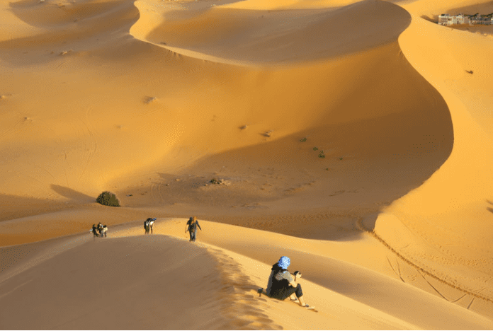 Desert Sahara Walk