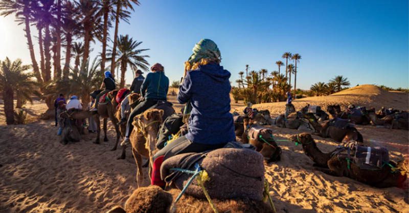 camel ride in the Moroccan desert